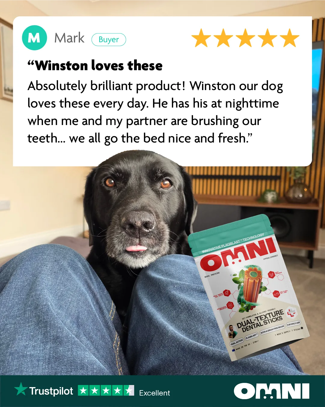 Pet Testimonial UGC Card