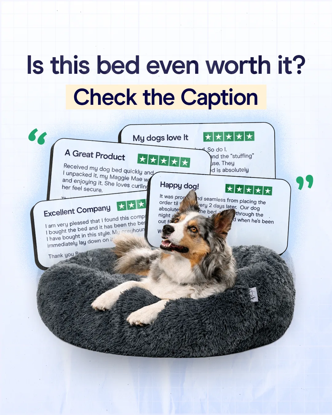 Dog Bed Social Proof Ad