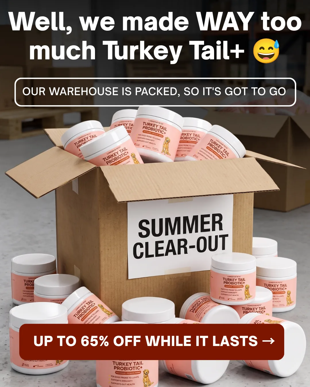 Warehouse Clearance Sale