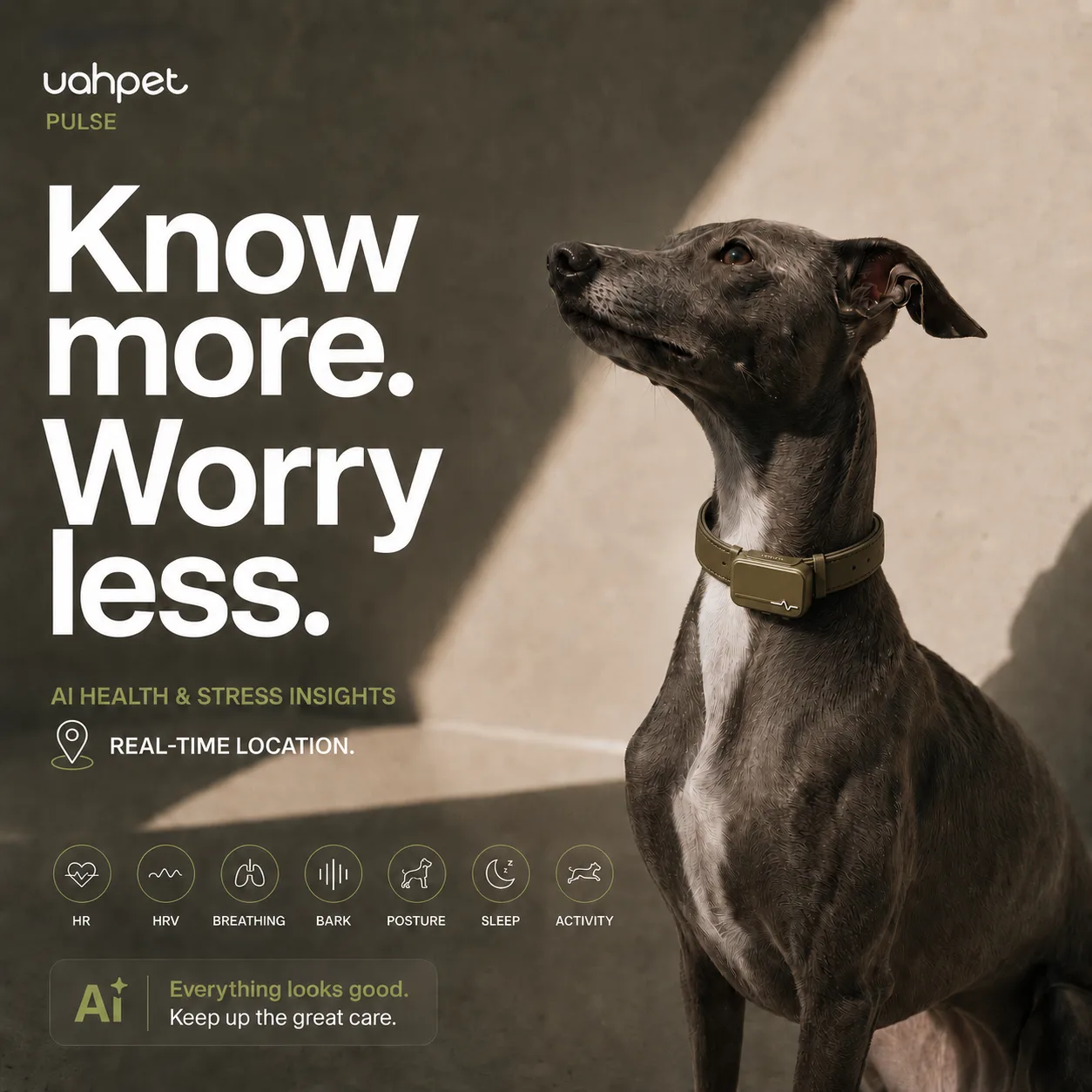 Uahpet Pulse - Know More Worry Less
