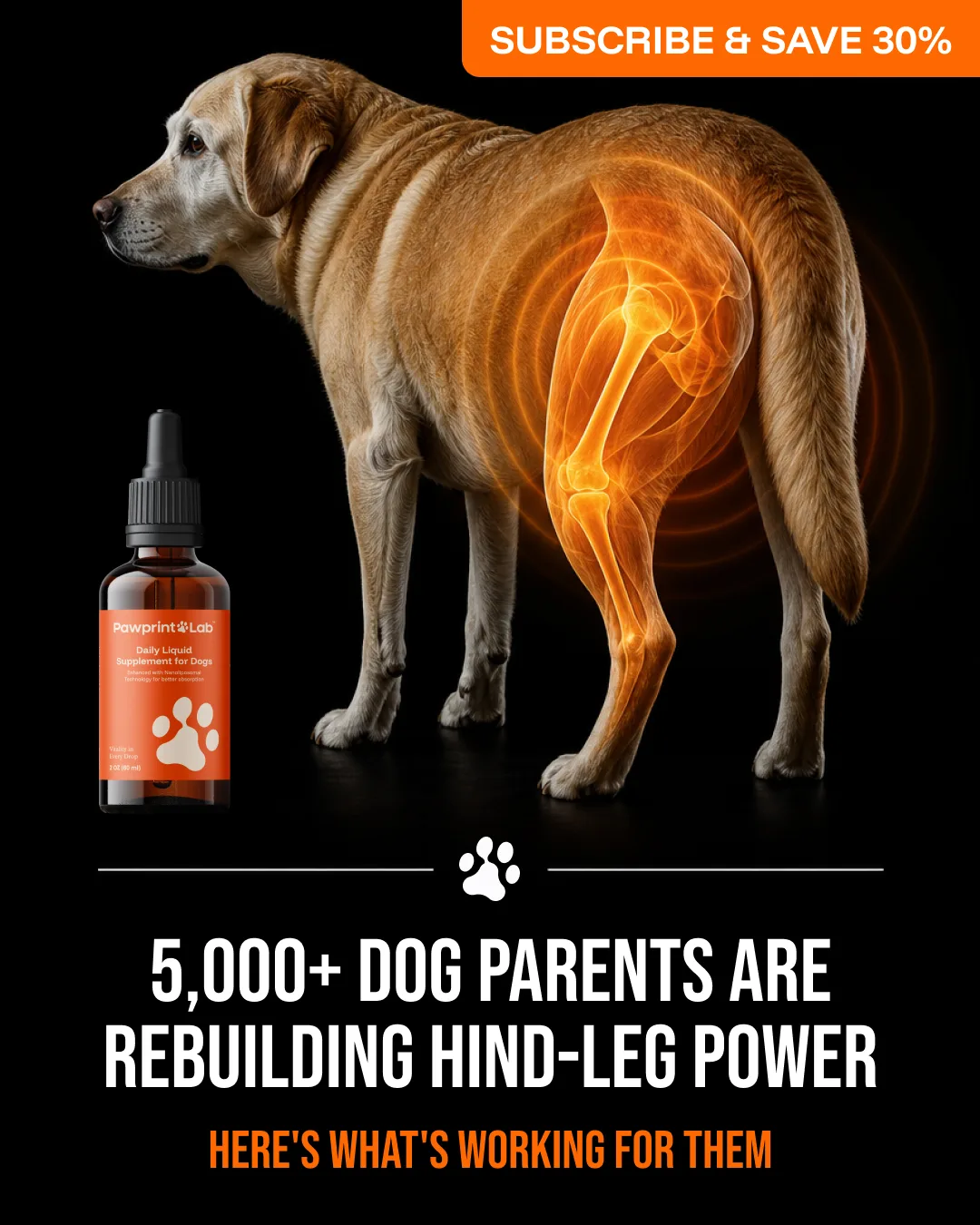 Dog Joint Supplement Ad