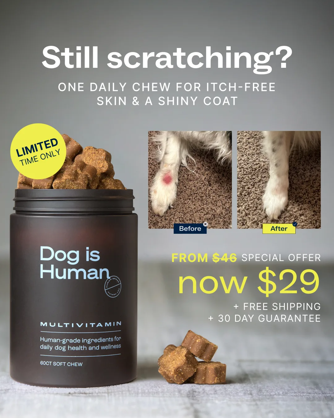 Dog Supplement Offer Ad
