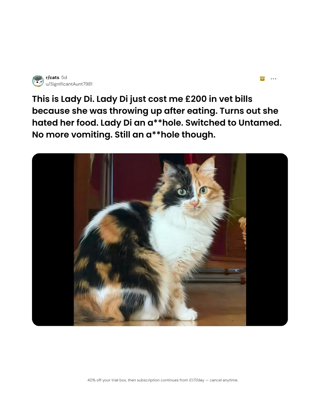 Reddit Style Pet Testimonial Ad