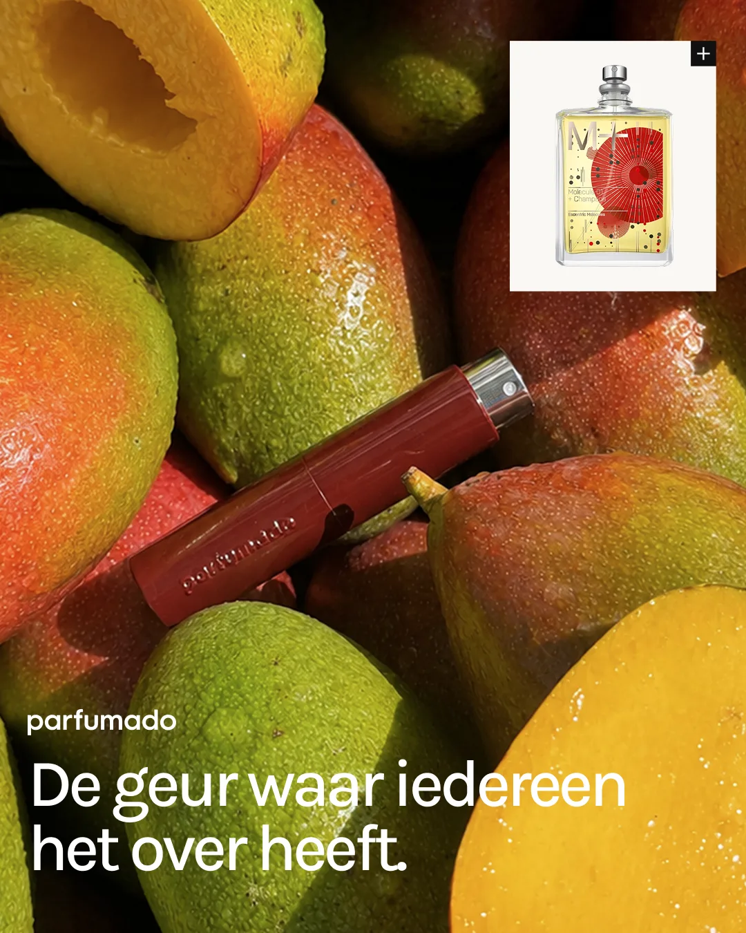 Vibrant Mango Perfume Ad