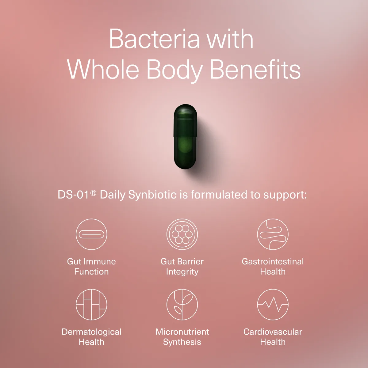 Synbiotic Benefits Ad