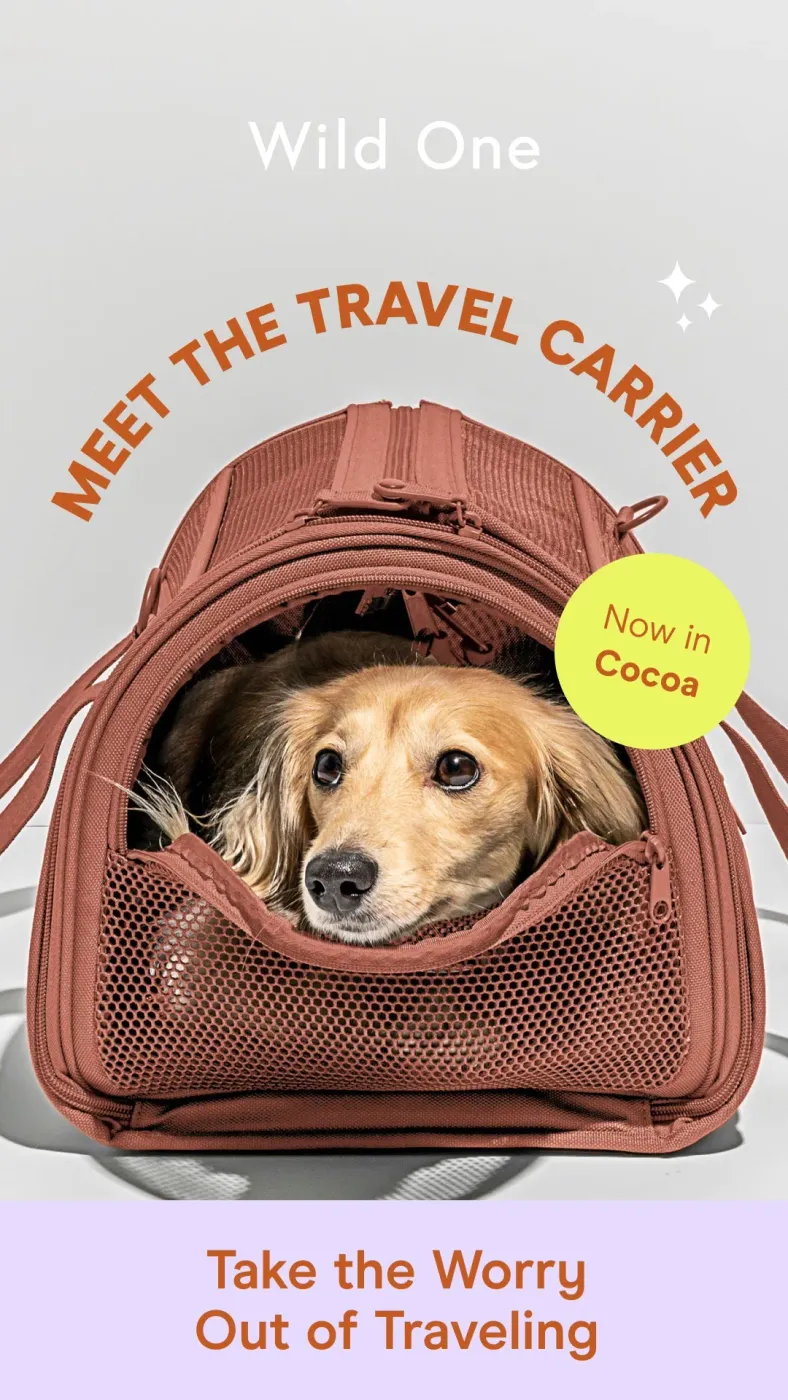Pet Carrier Product Showcase with Curved Headline