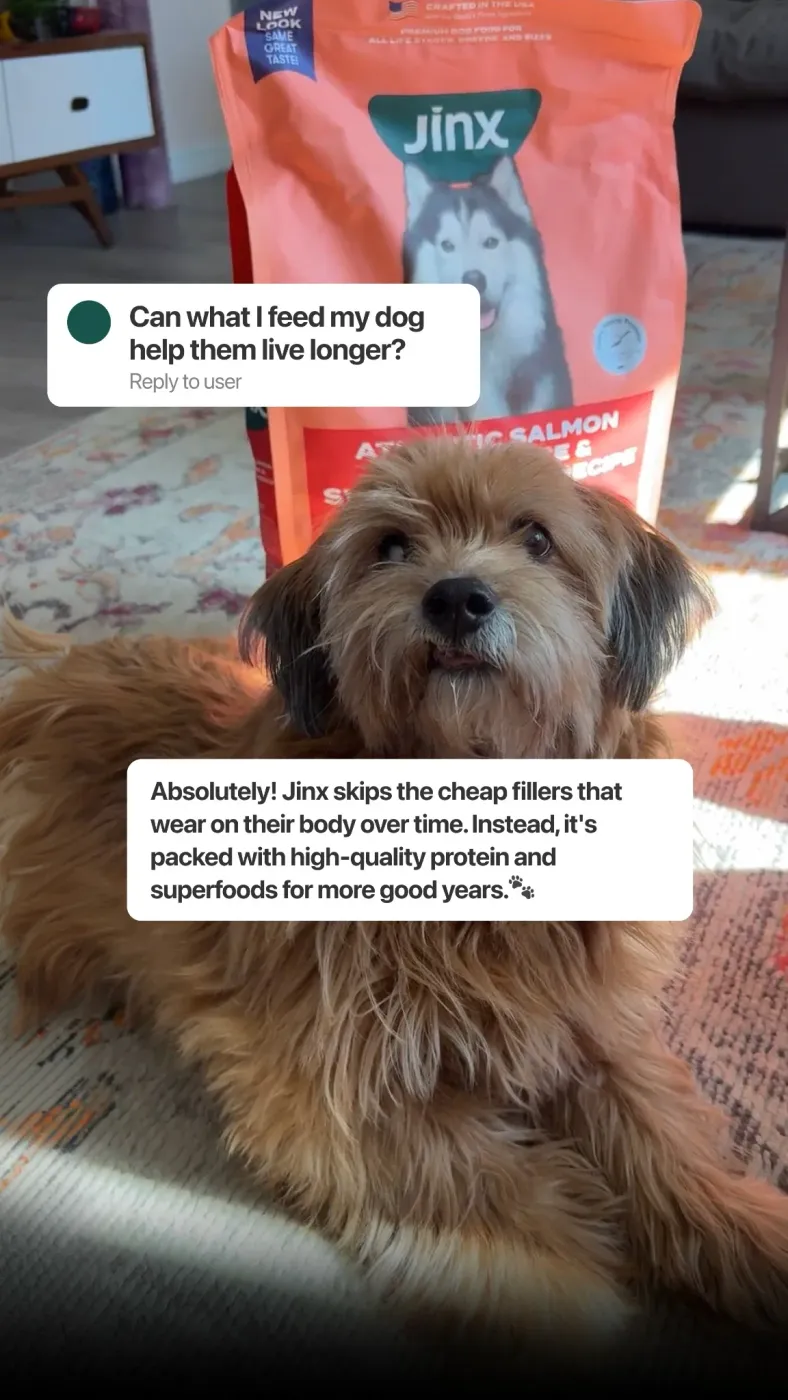 Pet Food Q&A Social Ad