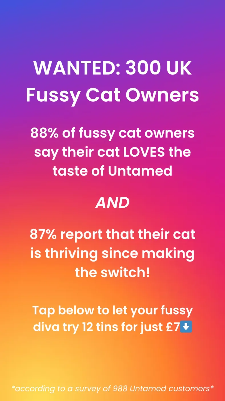 Fussy Cat Owners Recruitment Ad