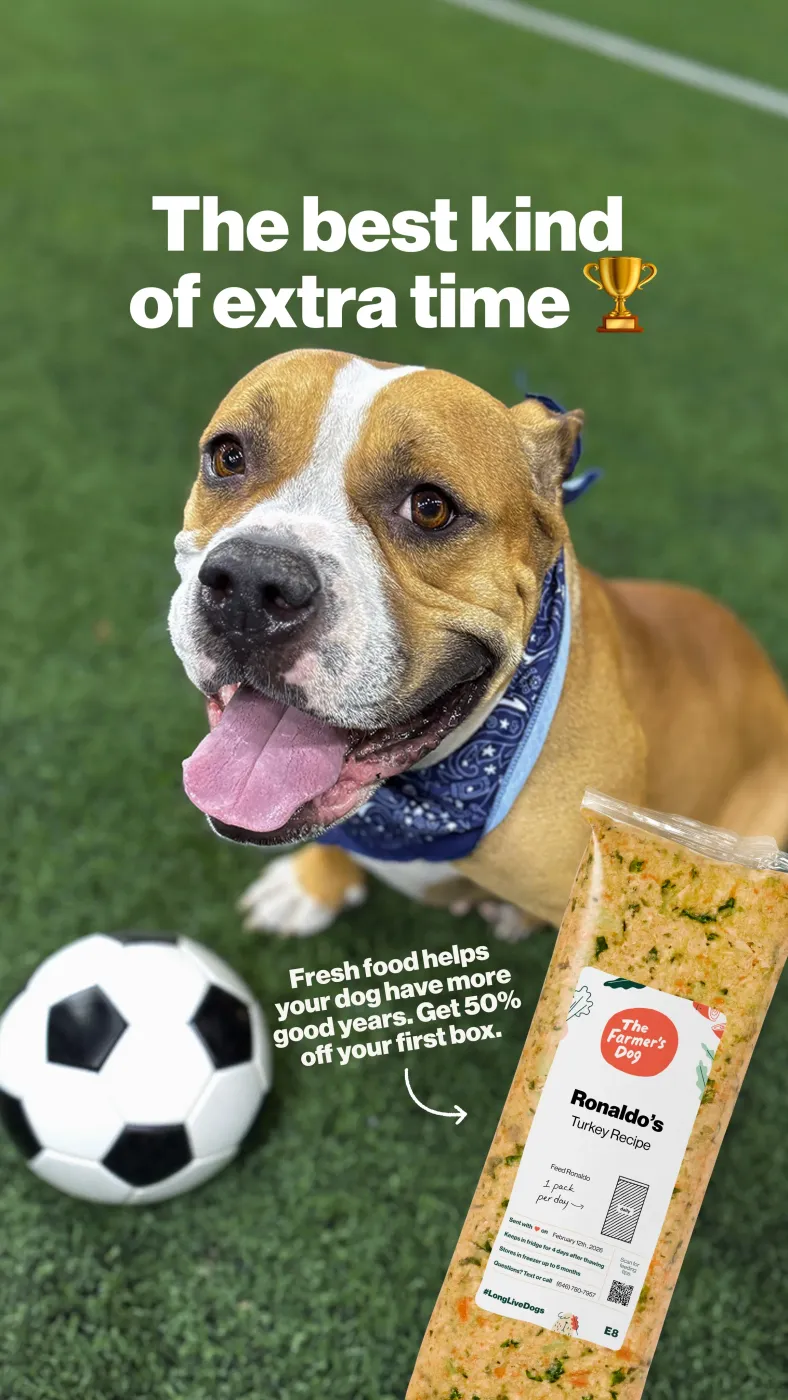Dog Food Ad with Happy Dog and Product
