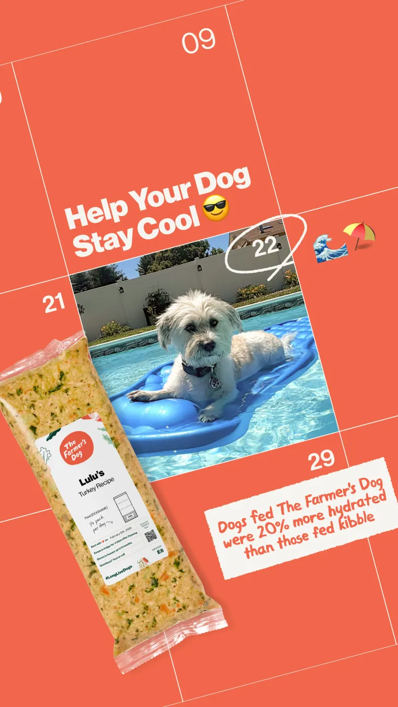 Calendar Style Dog Food Ad