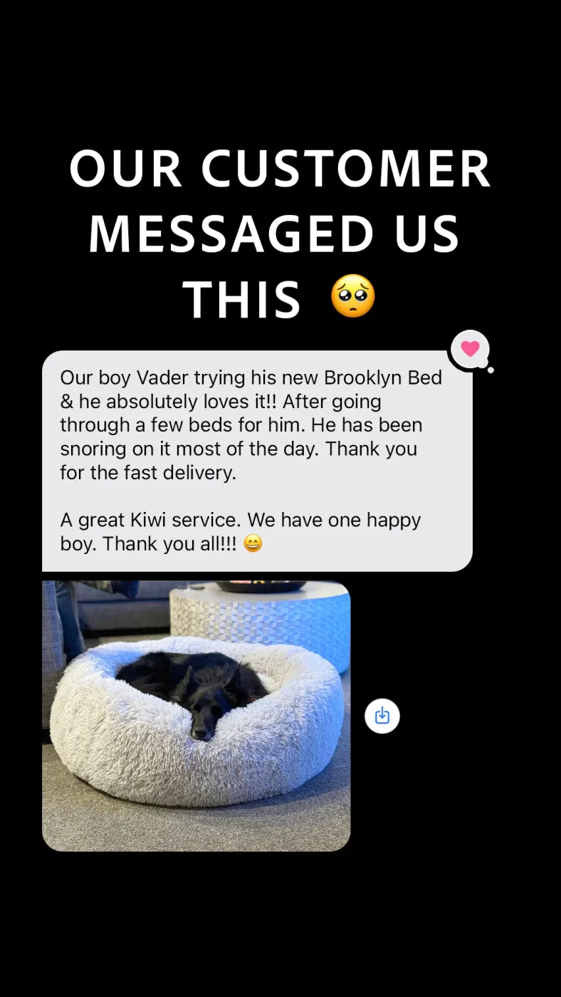 Customer Testimonial Chat Ad