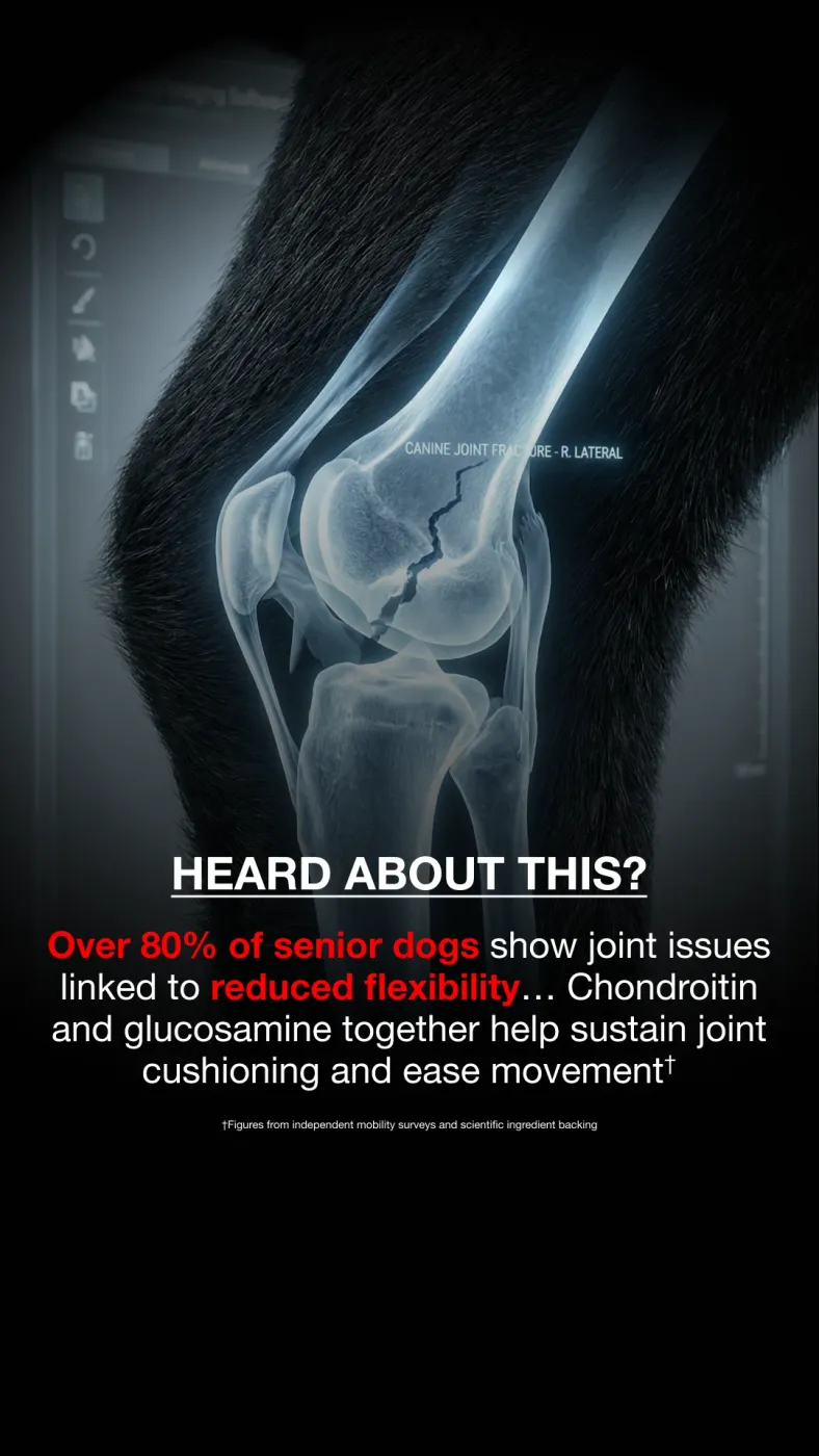Dog Joint Health X-Ray Ad