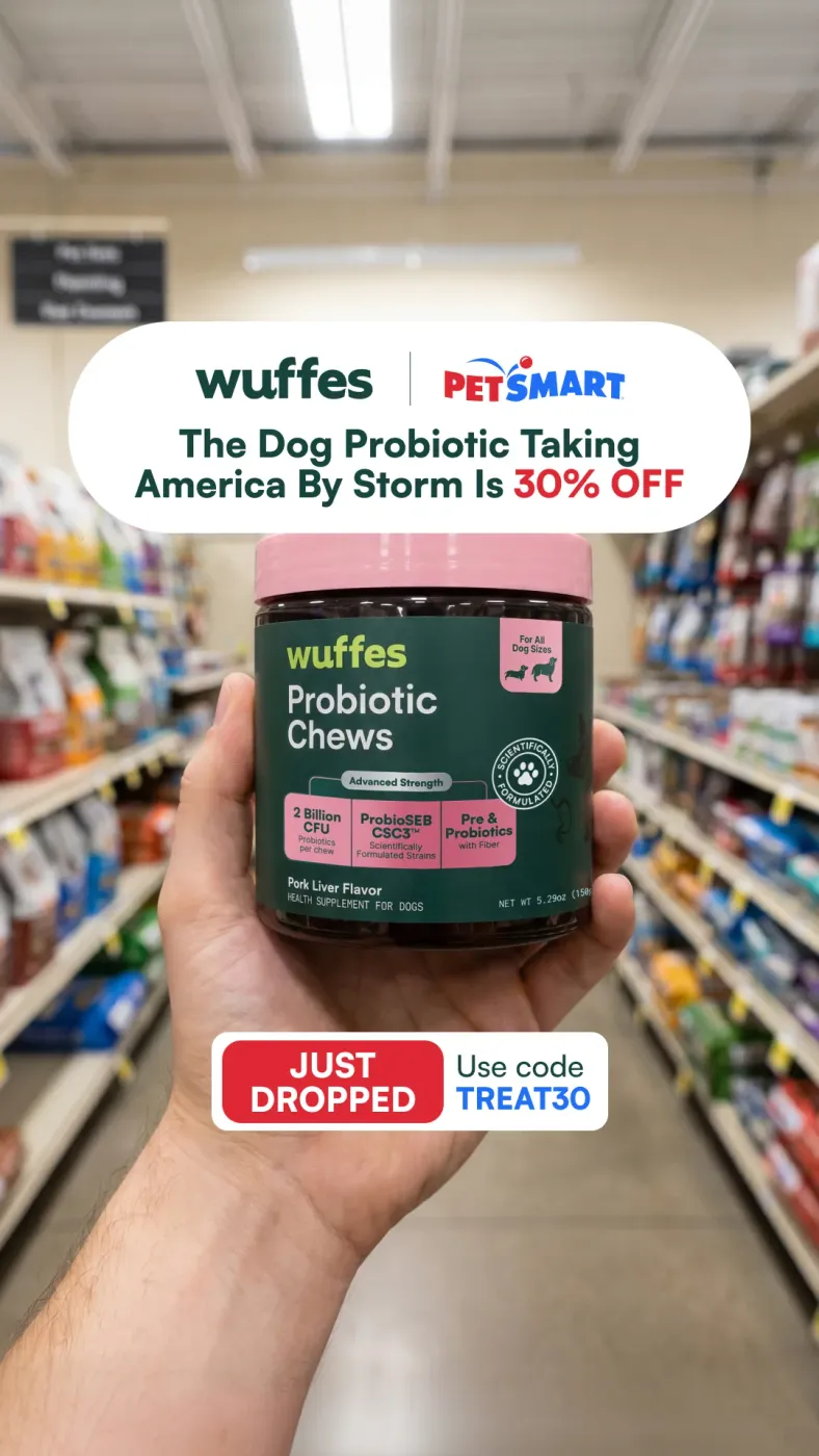 Dog Probiotic Chews Retail Offer