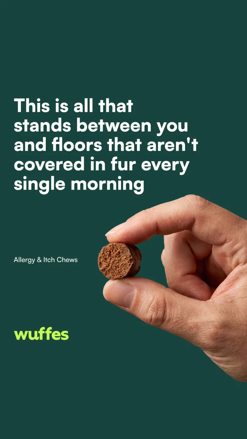 Pet Chew Product Ad