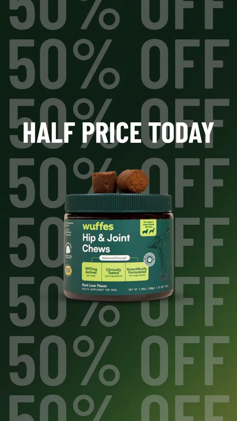 Vertical Repeating Typographic Pattern Center-Hero Offer Ad