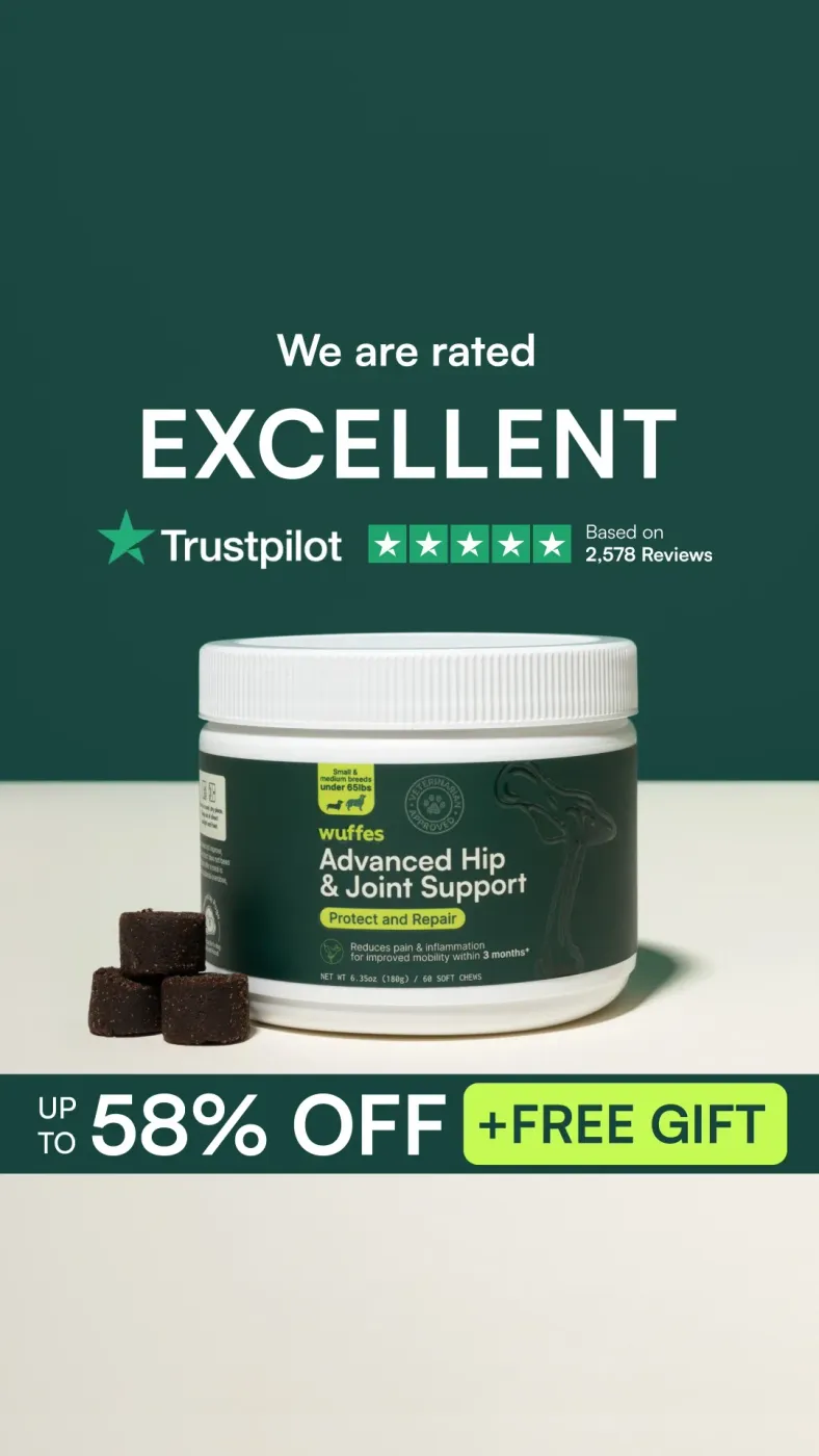 Social Proof Rating Header with Lower Promotional Banner