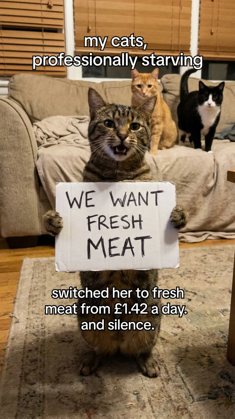 UGC Pet Protest Sign Overlay