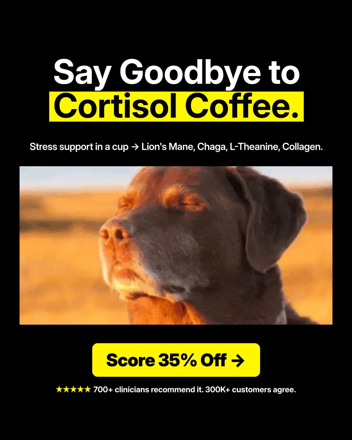 High-Contrast Problem-Solution Headline