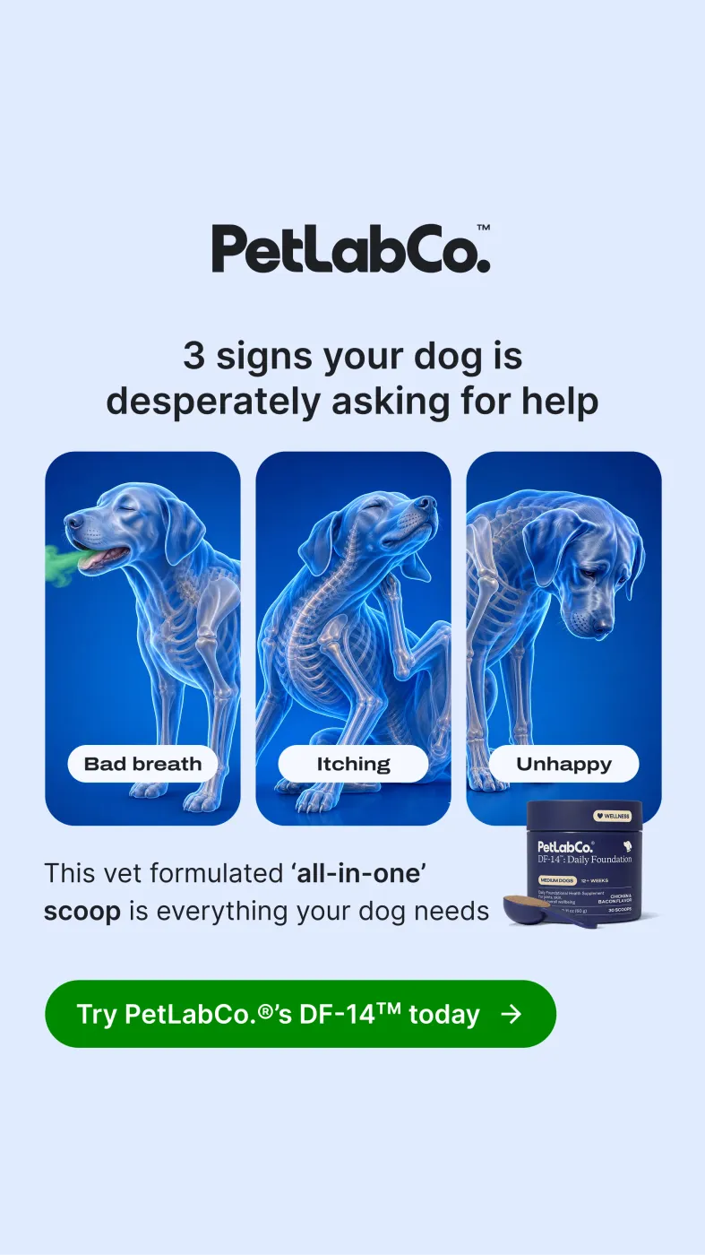 Three Signs Educational Multi-Panel Ad