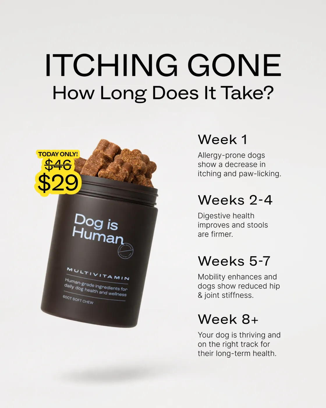 Timeline Progress Educational Infographic Ad