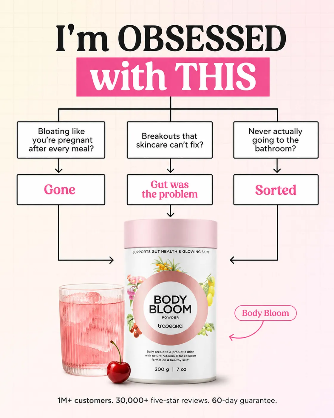 Gut Health Powder Flowchart Ad