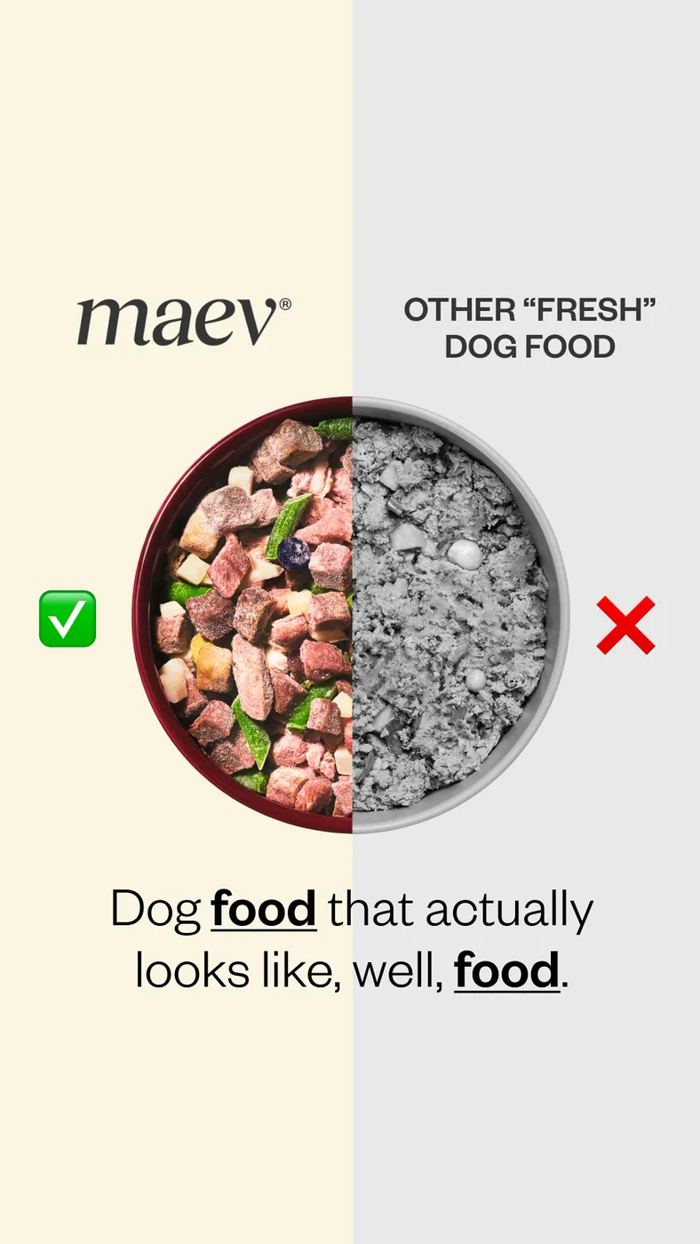 Dog Food Comparison Split Screen Ad