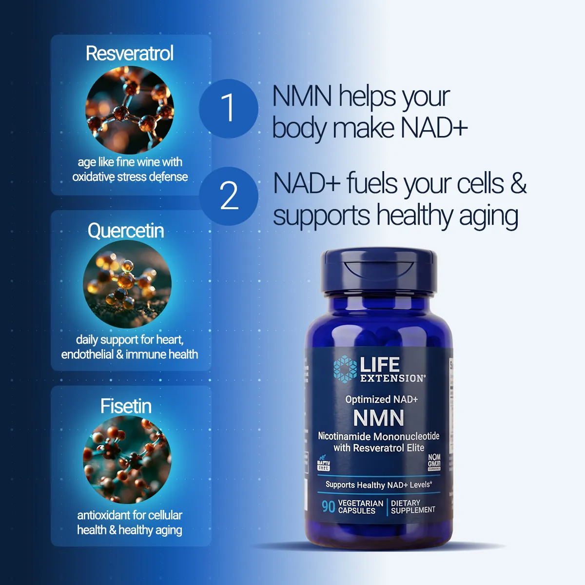Supplement Ingredient Breakdown with Product Bottle